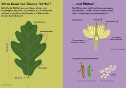 Kinder ZEIT Buchhandlung Kinderbücher Ab 9 Jahre<Arborama