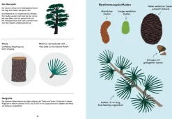 Kinder ZEIT Buchhandlung Kinderbücher Ab 9 Jahre<Arborama