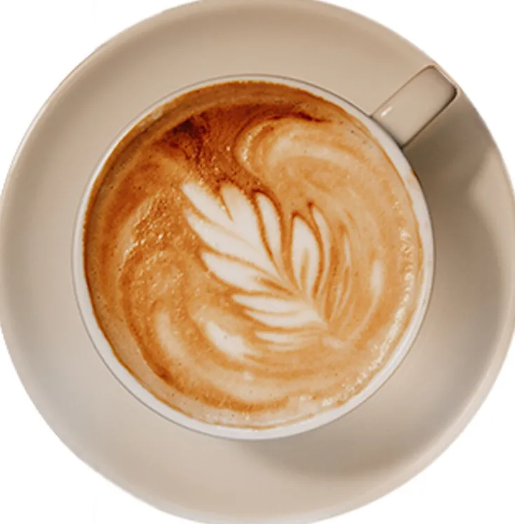 Torrefaktum Kaffee & Tee<Bio-Espressobohnen »Wake Up Little Lucy«