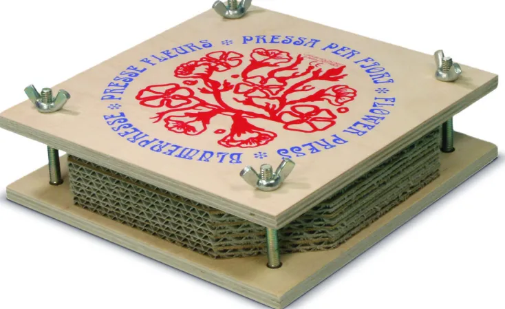 Kinder nic toys Konstruieren & Experimentieren<Blumenpresse aus Holz