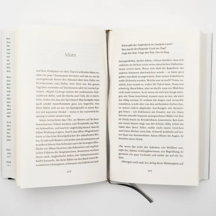 ZEIT Buchhandlung Romane<Brodeur, A: Treibgut