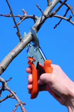 Original LÖWE Gartenhelfer<Classic Schere von