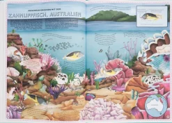 Kinder ZEIT Buchhandlung Kinderbücher Ab 6 Jahre<Der Atlas der Ozeane