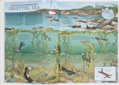 Kinder ZEIT Buchhandlung Kinderbücher Ab 6 Jahre<Der Atlas der Ozeane