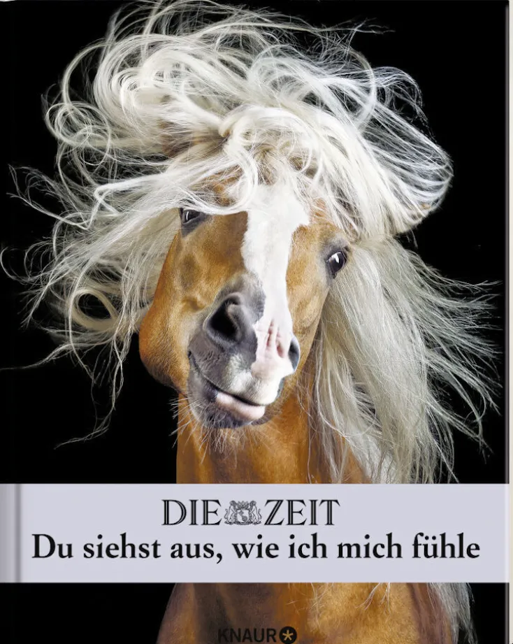 DIE ZEIT Geschenkbücher<»Du siehst aus, wie ich mich fühle« -Buch