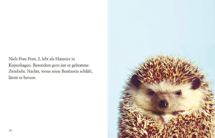 DIE ZEIT Geschenkbücher<»Du siehst aus, wie ich mich fühle« -Buch