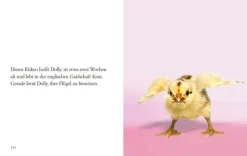 DIE ZEIT Geschenkbücher<»Du siehst aus, wie ich mich fühle« -Buch