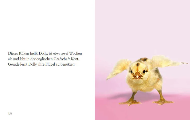 DIE ZEIT Geschenkbücher<»Du siehst aus, wie ich mich fühle« -Buch