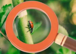 Kinder Small Foot Spielzeug Für Draußen|Konstruieren & Experimentieren<Entdeckergürtel »Discover«