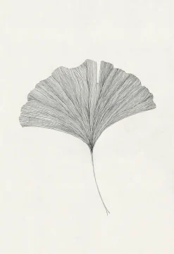 The Poster Club Wandbilder & Wanddekoration<Frois, Ana: »Ginkgo Leaf«