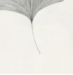 The Poster Club Wandbilder & Wanddekoration<Frois, Ana: »Ginkgo Leaf«, mit Rahmung