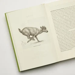 ZEIT Buchhandlung Sachbücher<Halliday, Thomas: Urwelten