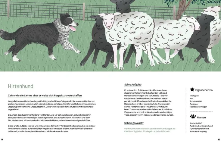 Kinder ZEIT Buchhandlung Kinderbücher Ab 9 Jahre<Hunde am Werk