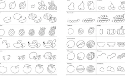 Kinder ZEIT Buchhandlung Kinderbücher Ab 6 Jahre<Ich kann 1000 Dinge zeichnen. Kritzeln wie ein Profi!