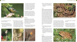 ZEIT Buchhandlung Sachbücher<Kreuter, Marie-Luise: Der Biogarten