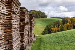 Kinder Cuboro Spiele & Puzzle|Holzspielzeug<Kugelbahn Starter-Set »JUNIOR«