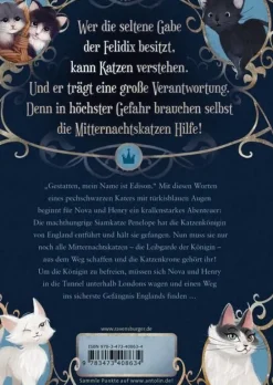 Kinder ZEIT Buchhandlung Kinderbücher Ab 9 Jahre<Laban, Barbara: Mitternachtskatzen, Band 1: Die Schule der Felidix