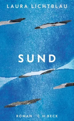 ZEIT Buchhandlung Romane<Lichtblau, L: Sund