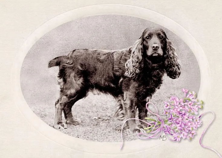 ZEIT Buchhandlung Romane<Maurier, D: Rebecca