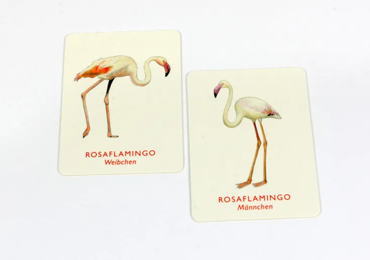 Kinder Laurence King Verlag Spiele & Puzzle|Spiele Für Kinder<Memo Spiel »Vogelpaare«