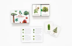 Kinder Laurence King Verlag Spiele Für Erwachsene|Spiele Für Kinder<Memo-Spiel »Bäume und ihre Blätter«
