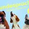 Kinder Laurence King Verlag Spiele & Puzzle|Spiele Für Kinder<Memo-Spiel »Hundesprache - Verstehst du deinen Hund?«