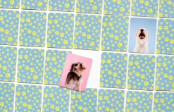 Kinder Laurence King Verlag Spiele & Puzzle|Spiele Für Kinder<Memo-Spiel »Hundesprache - Verstehst du deinen Hund?«