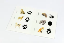 Kinder Laurence King Verlag Spiele & Puzzle|Spiele Für Kinder<Memo-Spiel »Wilden Tieren auf der Spur - 25 Tiere und ihre Pfotenabdrücke«