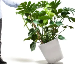 Urbanature Gartenhelfer<Mobiler Pflanzkübel