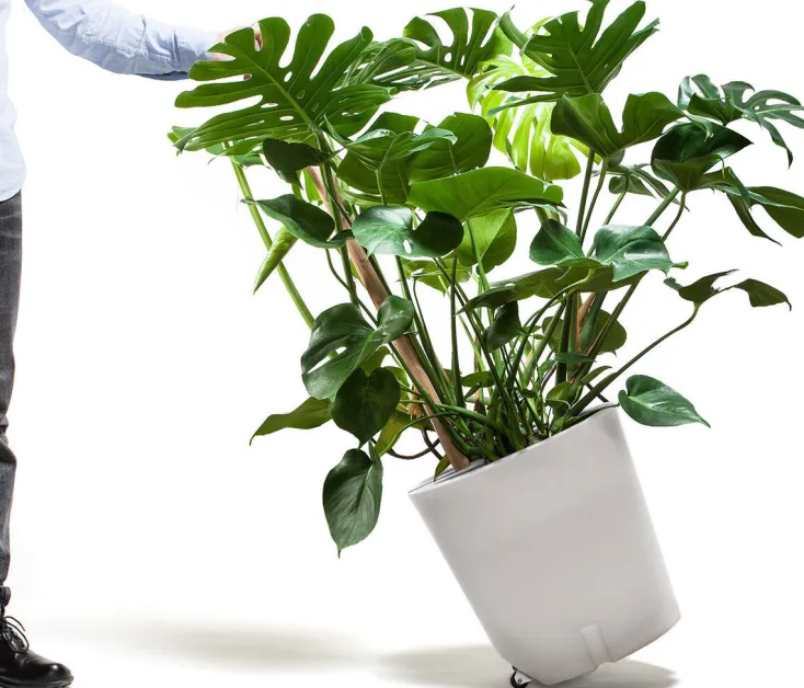 Urbanature Gartenhelfer<Mobiler Pflanzkübel