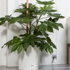 Urbanature Gartenhelfer<Mobiler Pflanzkübel