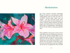 DIE ZEIT Sachbücher<Neulich im Beet