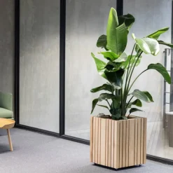 Squarely Gartenhelfer|Dekoration & Vasen<Pflanzgefäß »GrowBIG«