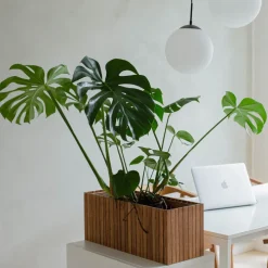 Squarely Gartenhelfer|Dekoration & Vasen<Pflanzgefäß »GrowWIDE«