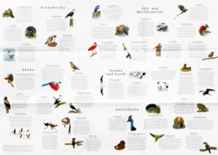 Kinder Laurence King Verlag Spiele & Puzzle|Puzzle Für Kinder<Puzzle »In 50 Vögeln um die Welt«