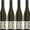 KOLONNE NULL Weißwein|Alkoholfrei<Sauvignon Blanc 2023, alkoholfrei, 6er Set