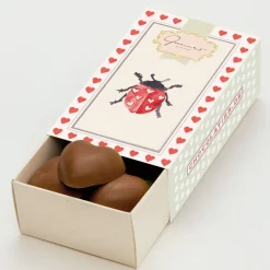 Gmeiner Pralinen<Schokobox »Viel Glück«