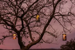 Sonnenglas GmbH Outdoorlampen & Solar|Gartenleuchten<Sonnenglas Classic