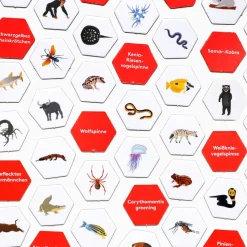 Kinder Laurence King Verlag Spiele Für Kinder<Wimmel Such Spiel »Erste*r sein!«