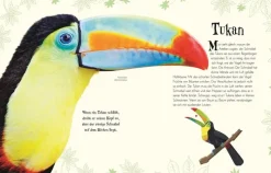 Kinder ZEIT Buchhandlung Kinderbücher Ab 6 Jahre<Wundervolle Welt der Tiere