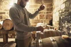 MOZERs Spirit Sondereditionen|Weißwein<ZEIT-Sonderedition »MOZERs Obstreise«